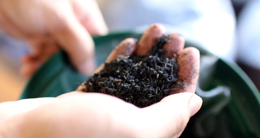 biochar