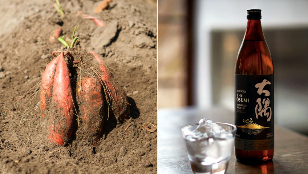sweet potatoes, Suntory Osumi
shochu