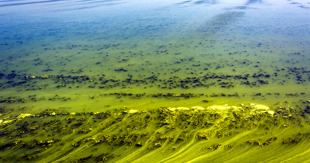 algal bloom
Ukraine