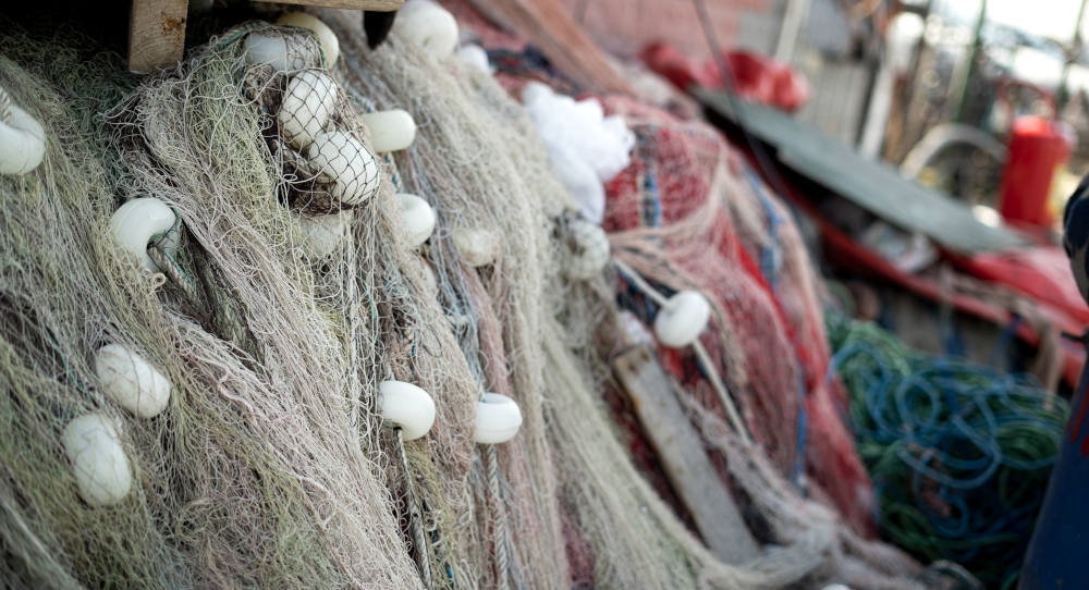 fishing
nets