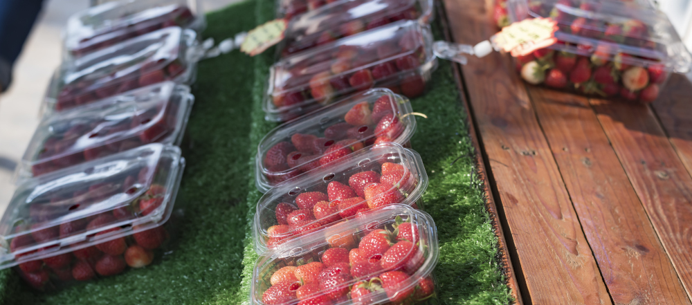 berries in plastic
punnets