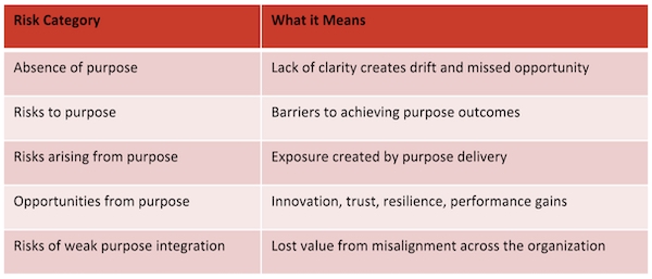 Risk and Purpose Table